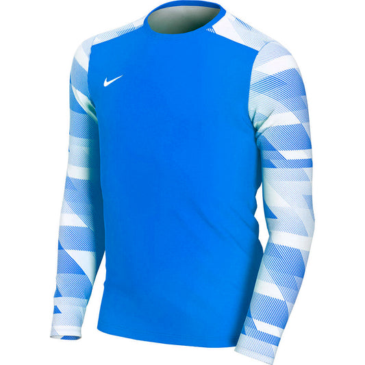 Nike Dry Park IV JSY LS GK JUNIOR ' goalkeeper jersey blue CJ6072 463 Kids