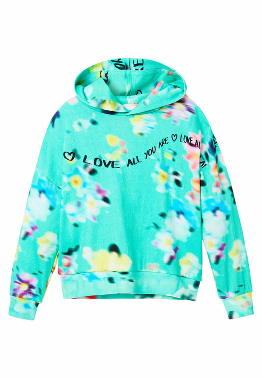 Desigual Sweatshirt green (DE123K02F-M11) Kids
