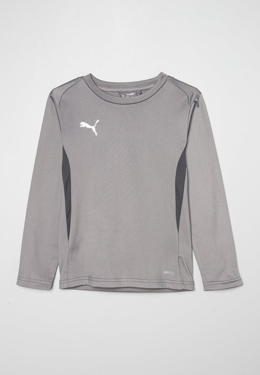 Puma teamGOAL Training Sweat Jr grey (ZZO2UJU19-C00) Kids