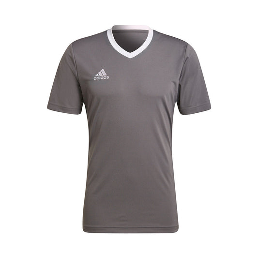 adidas Entrada 22 m/c Grey Four (HE1574) Men