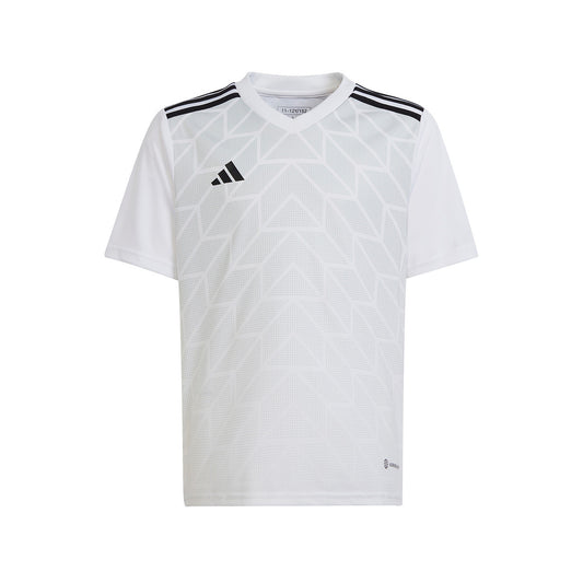 adidas T-Shirt Team Icon 23 White (HR2651) Kids