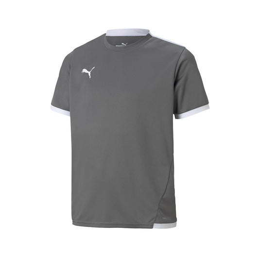 Puma teamLIGA m/c Smoked Pearl (704925-13) Kids