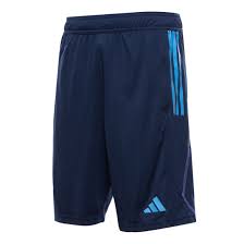 Adidas AFA TR SHO BLUE (HF3925) Men