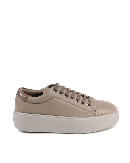 Calvin Klein Brown Sneakers ( 102923 ) Women
