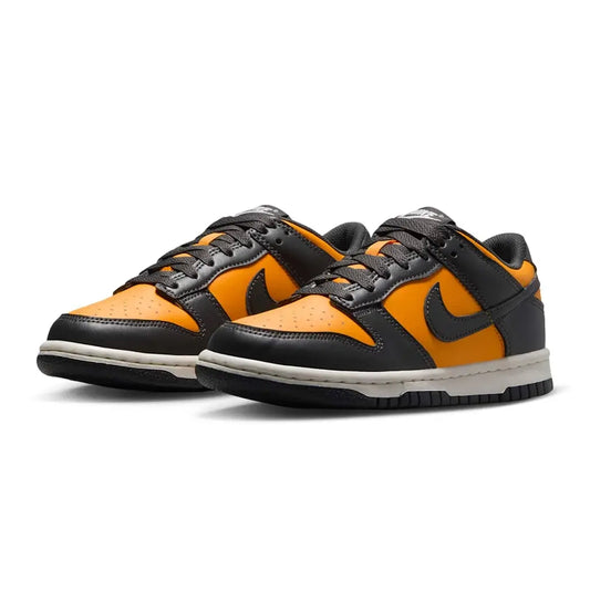 NIKE SHOES - DUNK LOW (GS) FB9109-701 Women