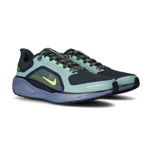 Nike Pegasus 41 Gore-Tex Black (FQ1356-006) Men